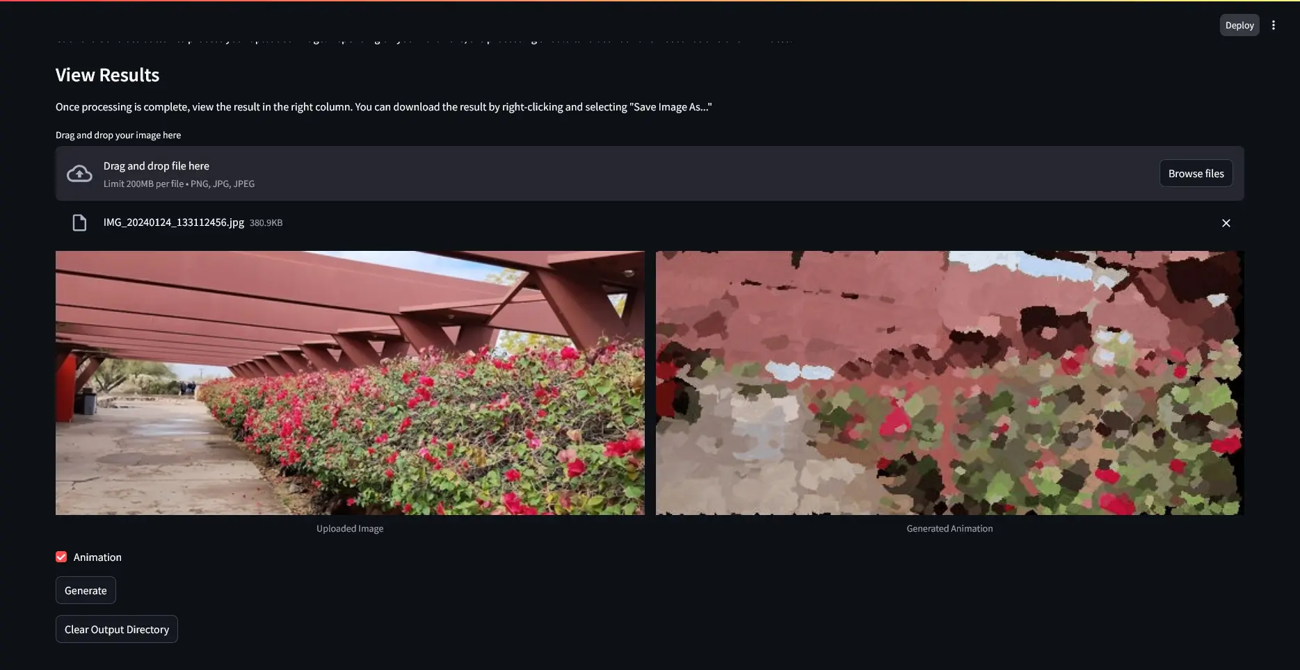 ColourlessTransformer Streamlit demo