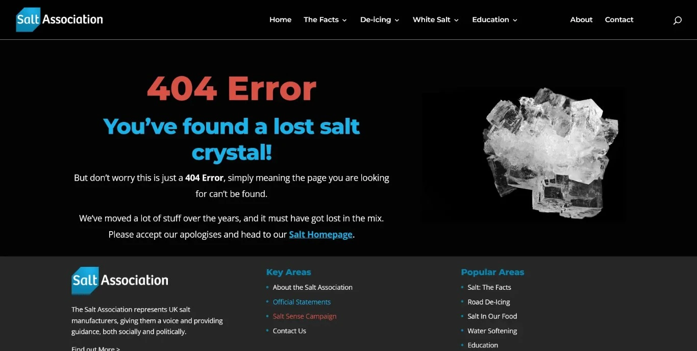 A 404 page with the header "404 Error" in large red text, and below it the subheader "You’ve found a lost salt crystal!" in smaller blue text. To the right is a photo of a salt crystal.