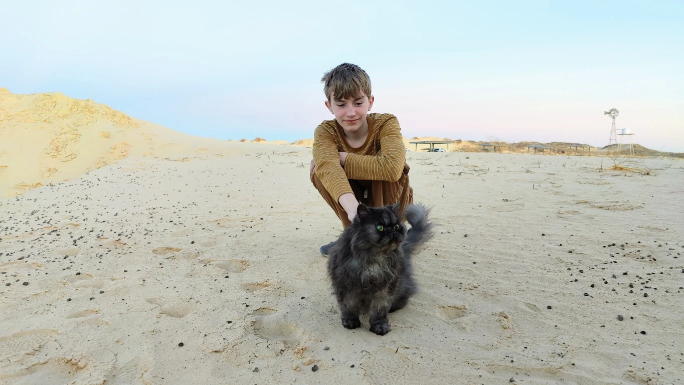Toby, a fluffy gray Persian cat, curiously surveys a desert (White Sands National Park) while being petted by Ethan, a brown-haired fair-skinned teenage boy.