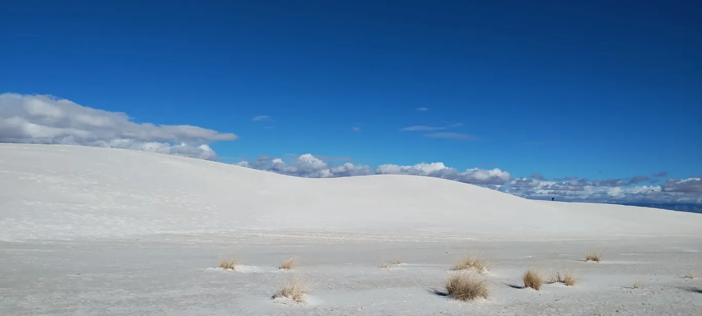 A photo I took at White Sands
