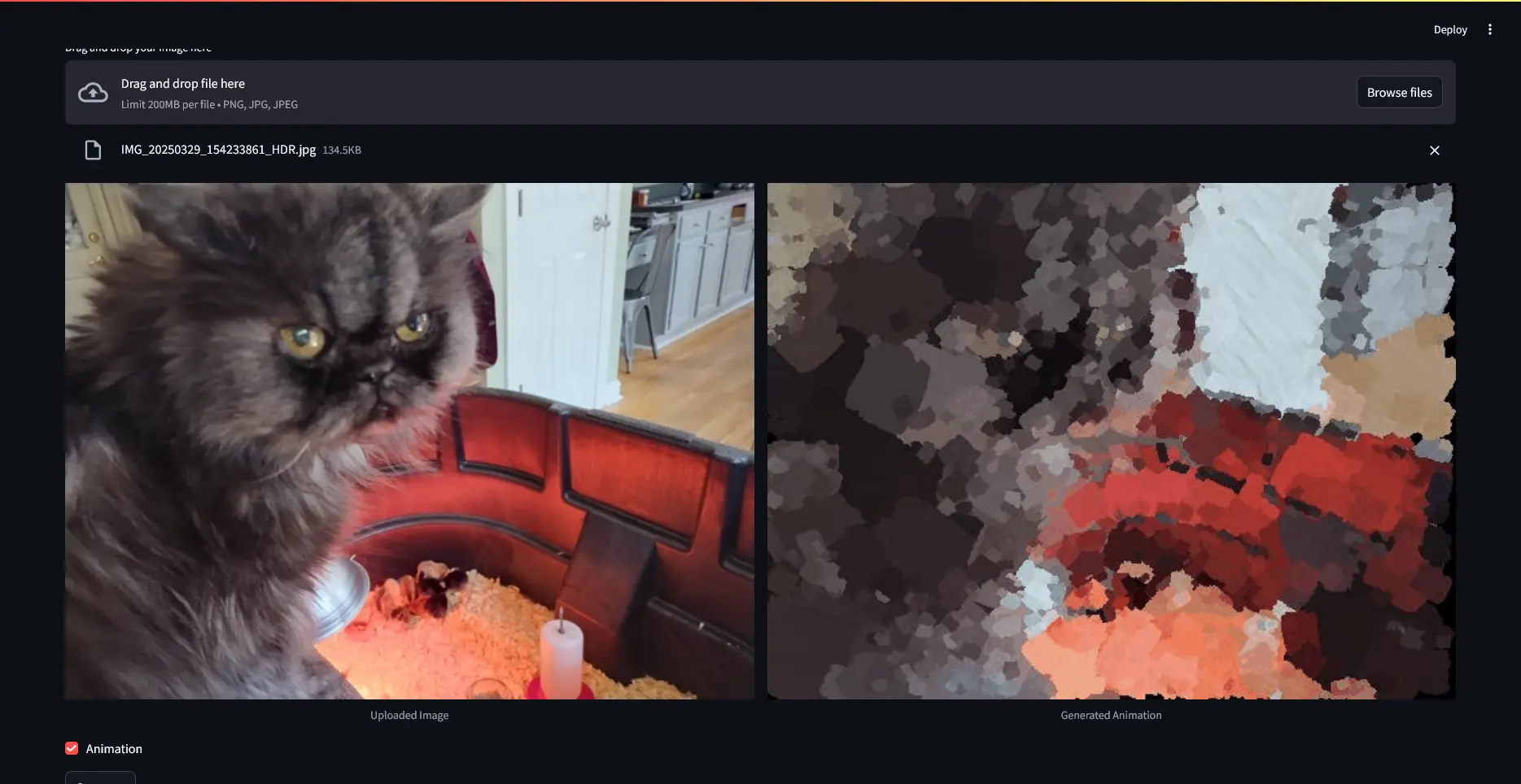 A user interface built with Streamlit, showing a split-screen comparison. On the left is an uploaded image of a fluffy gray cat sitting in front of a red chair and some candles. On the right is the corresponding generated animation, which depicts the same scene rendered in a painterly, watercolor-like style with broad brushstrokes and vibrant colors.